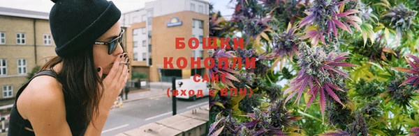 гидропоника Белокуриха