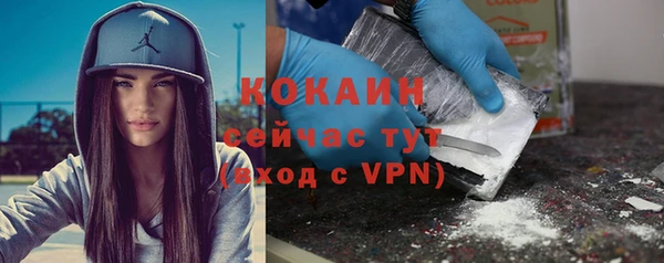 ECSTASY Богданович