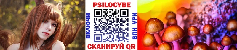 Галлюциногенные грибы Psilocybine cubensis Бородино
